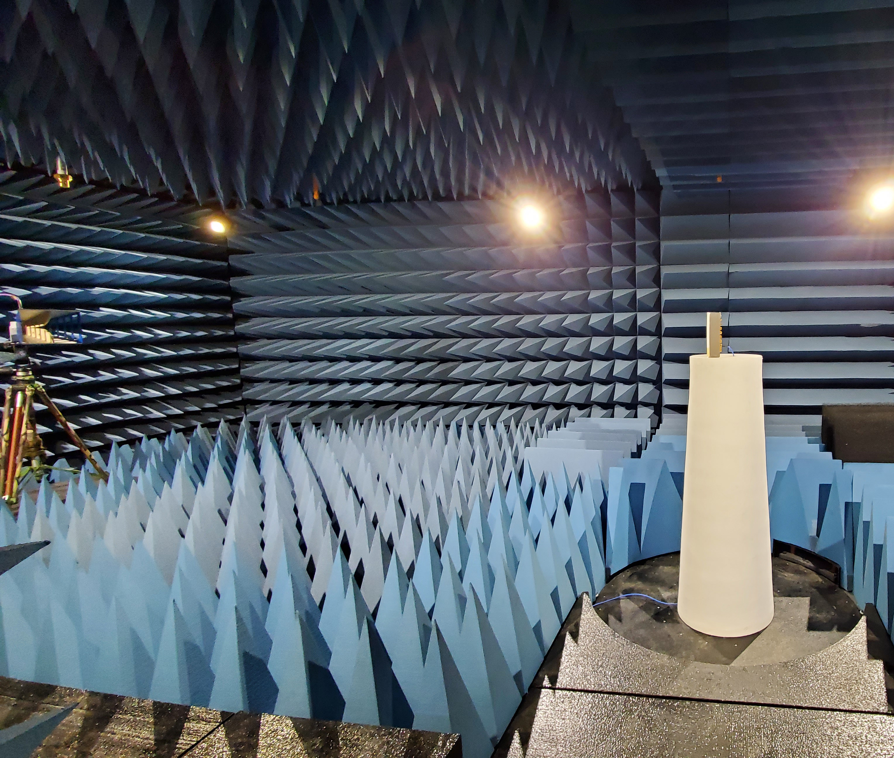 20220110_135001 - CROP 1