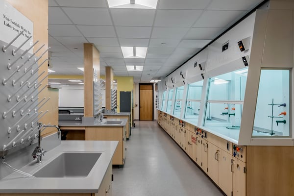 Laboratory Fume Hoods and Sinks