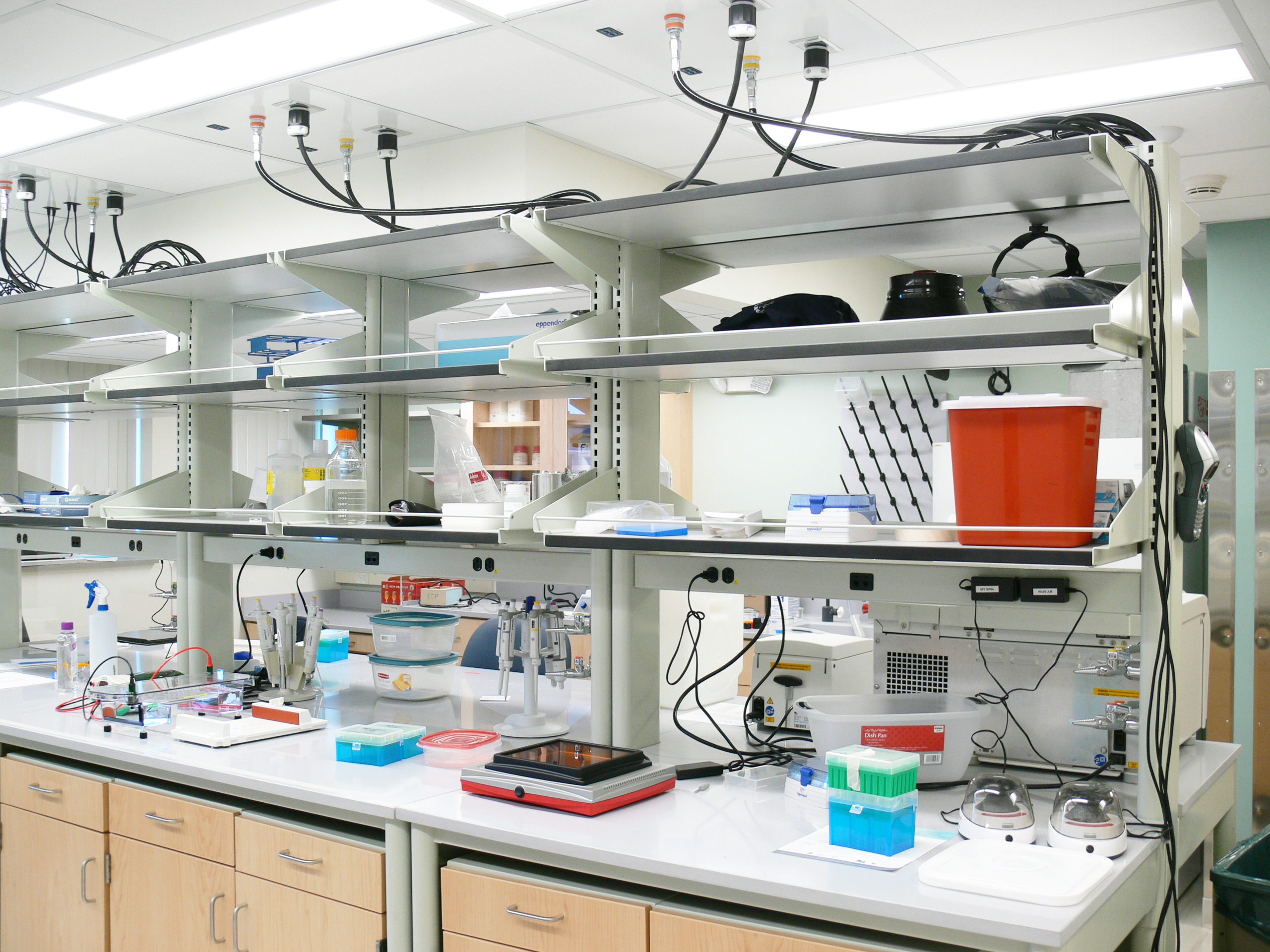 Interior Photo, Morrill Research Laboratory at UMass Amherst, Shelving and Equipment