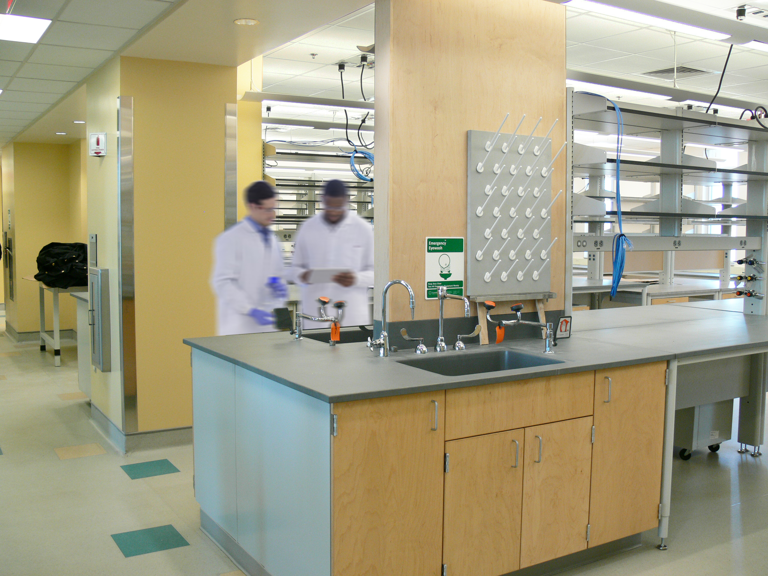 Interior, NIH Interdisciplinary Labs at UMass Amherst, work stations, sink, storage, equipment, scientists occupying the space